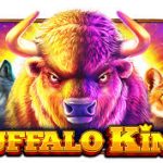 BUFFALO KING APP DOWNLOAD BONUS-100 FREE | BUFFALO KING APK | BUFFALO KING | DOWNLOAD BUFFALO KING |